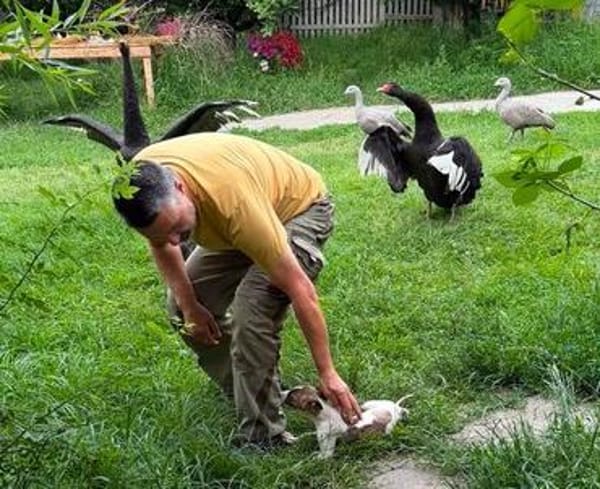 FLOPPI sucht sein großes Glück