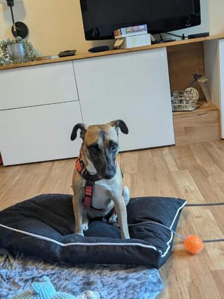 Die aktive Nelly wartet auf einer Ps in 44141 Dortmund !
