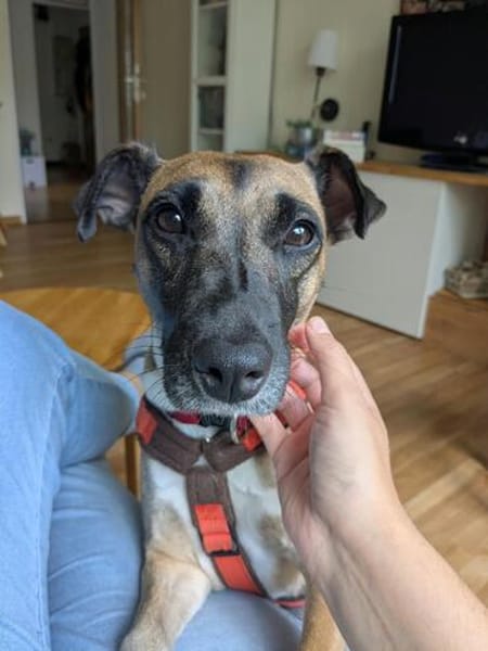 Die aktive Nelly wartet auf einer Ps in 44141 Dortmund !