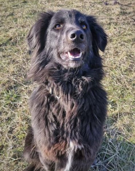 Ben