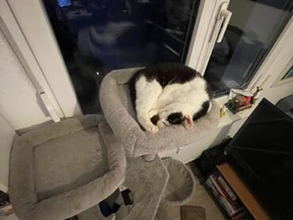 Hania sucht ihr Glück