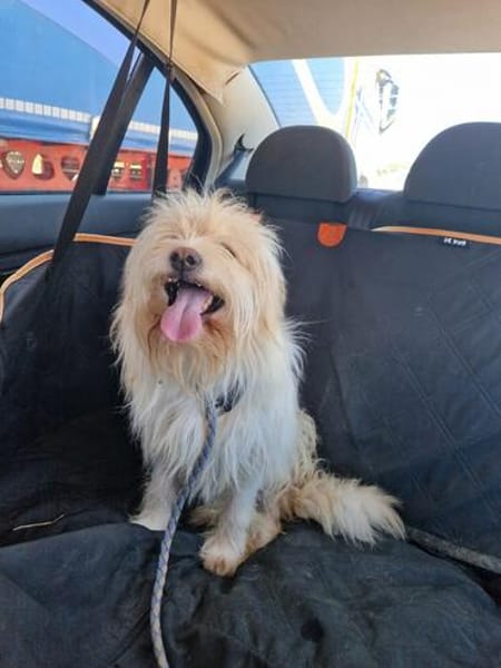 TOSHI braucht Liebe und etwas Geduld