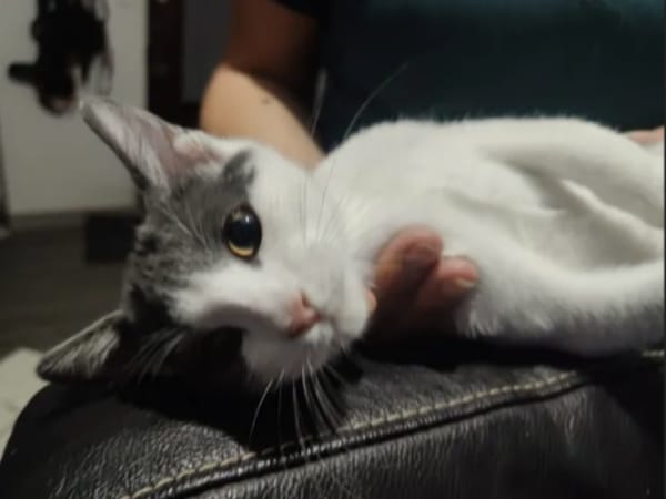 BEERUS
