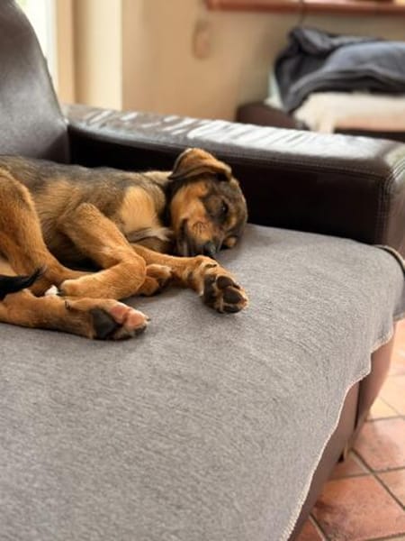 Fia sucht ihre Familie