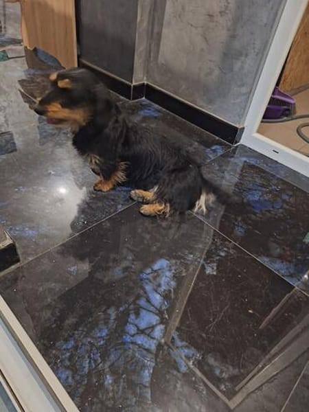 Kleine Antonela sucht ihr liebevolles Zuhause