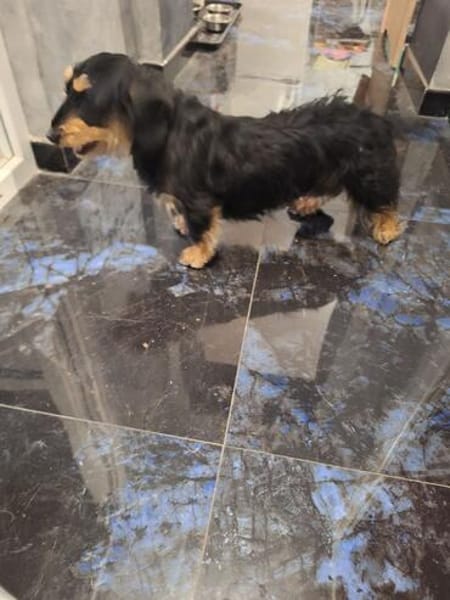 Kleine Antonela sucht ihr liebevolles Zuhause