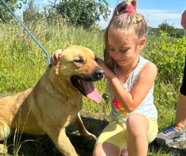 LENY - Goldschatz sucht Zuhause