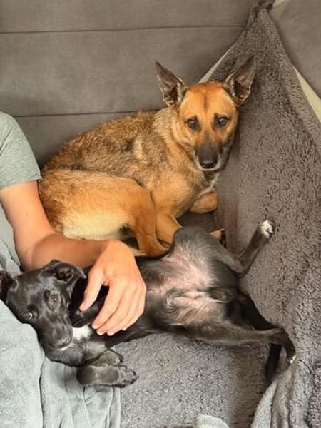 Rakete Xaver kann auch kuscheln