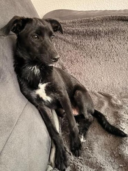 Rakete Xaver kann auch kuscheln