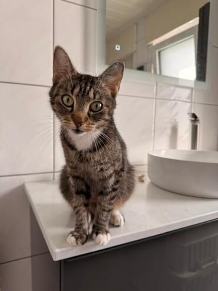 Kaia möchte kuscheln