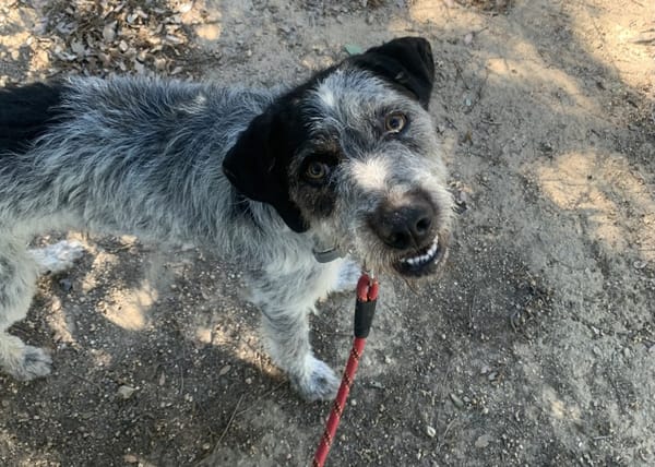 OREO