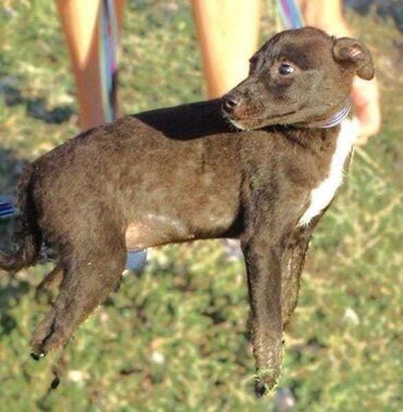 BONY möchte ihr Leben behinnen
