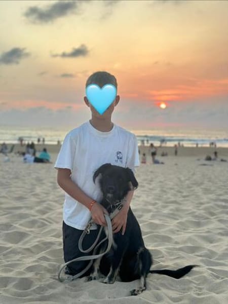 Traumhund Milan sucht seine Menschen
