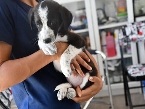 Sibilla sucht engen Familienanschluss