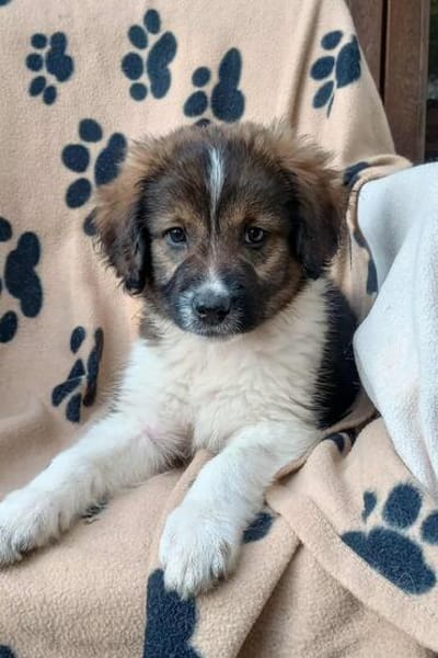 Ava - süßes Seelchen 💕