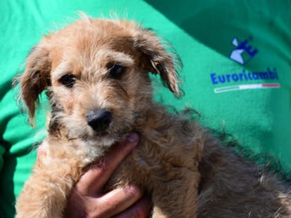 Wird Alessia Ihr neues Familiemmitglied?
