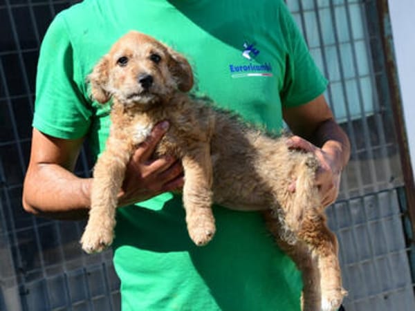 Wird Alessia Ihr neues Familiemmitglied?