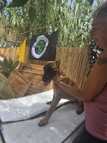 FERRAN (Los Reyes)