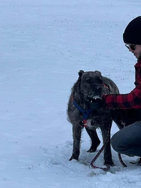 Sakima sucht eine liebevolle Familie