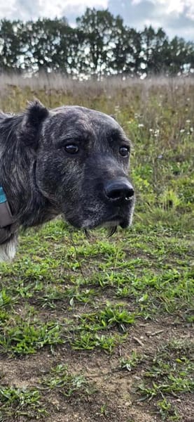 Sakima sucht eine liebevolle Familie