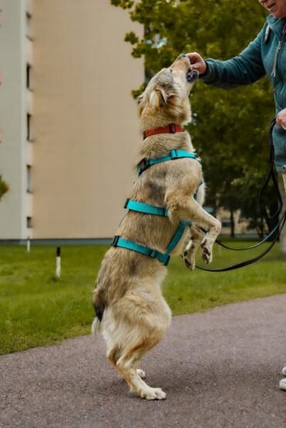 Petra  sensible Seele, die Vertrauen braucht