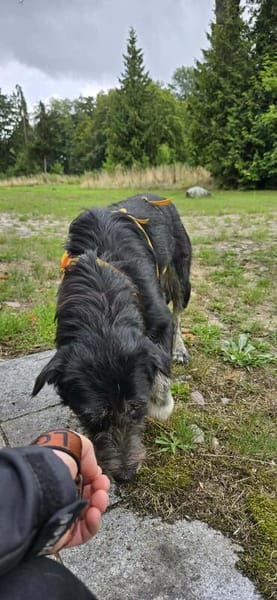 Dani sucht liebevolle Familie
