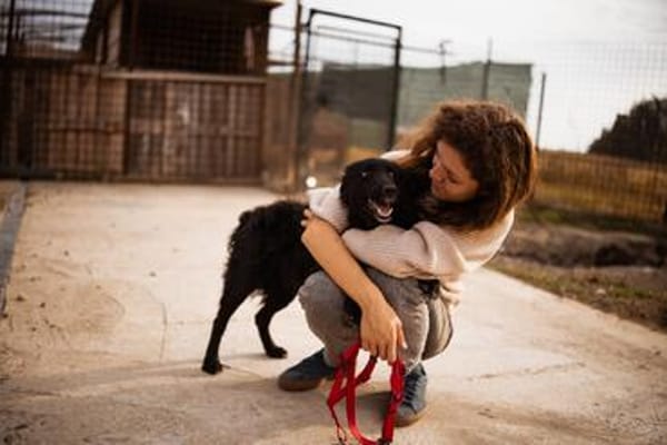 BAILEY ANA  Kleine Frohnatur mit ganz viel Herz