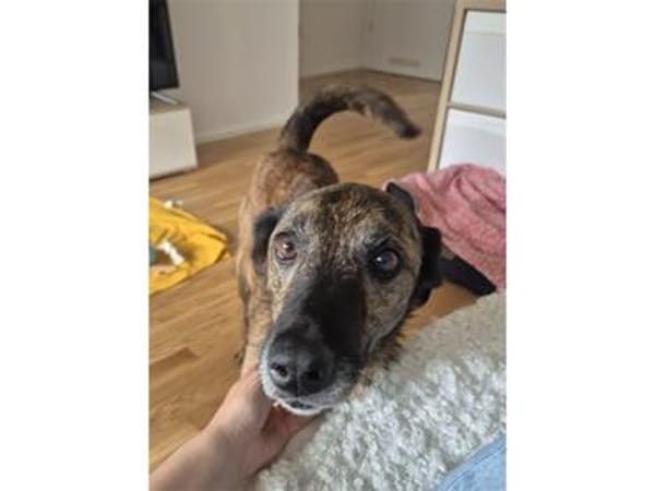 Eda - wartet in 72108 Rottenburg am Neckar