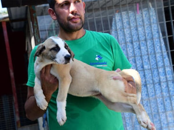 Möchten Sie Petunia eine Chance geben?
