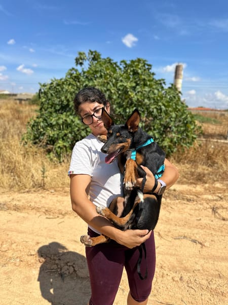 DOBBY (Animalea)