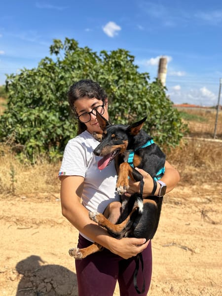 DOBBY (Animalea)