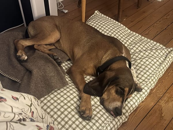 CHARLIE (France)