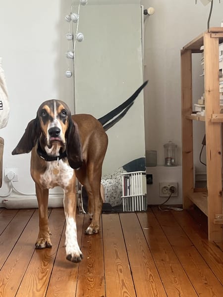 CHARLIE (France)