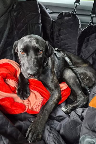 Mika 💗 wartet in 27419 Klein Meckelsen auf deinen Besuch