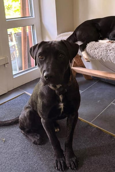 Mika 💗 wartet in 27419 Klein Meckelsen auf deinen Besuch