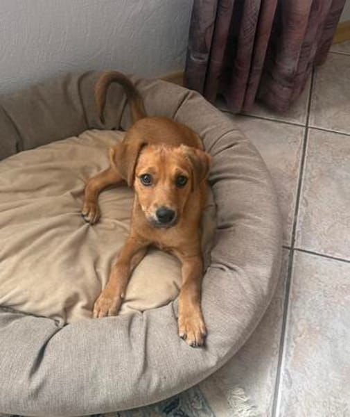 Ida ein sehr liebes Mädchen