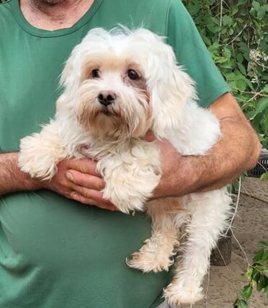 Amalka° 66740 Saarlouis
