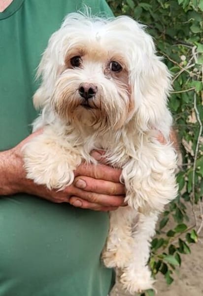 Amalka° 66740 Saarlouis