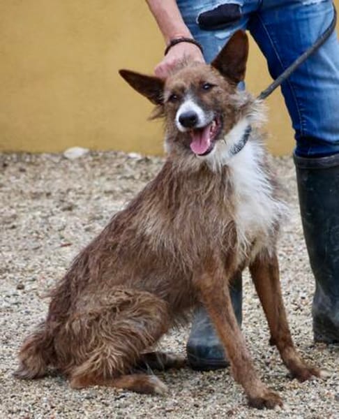 Nadia, aktiv, freundlich, aufgeschlossen