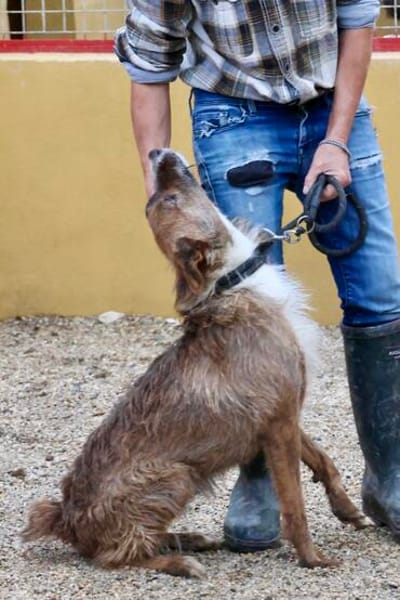 Nadia, aktiv, freundlich, aufgeschlossen