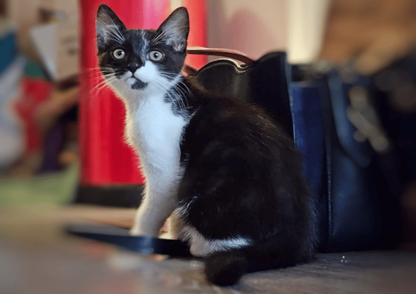 NORI