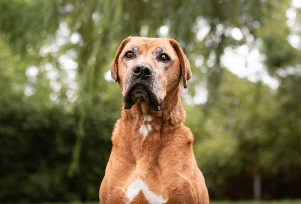 MURPHY (réservé)