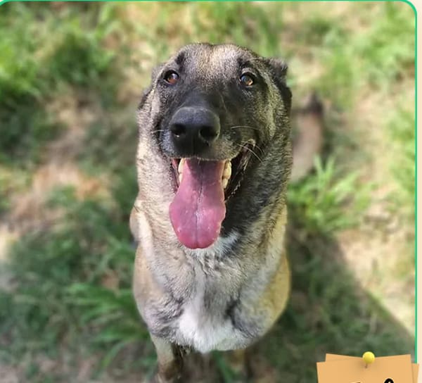 Nella
