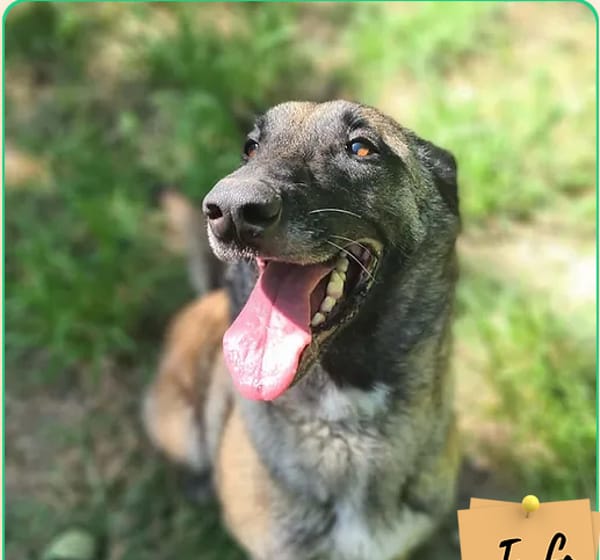 Nella