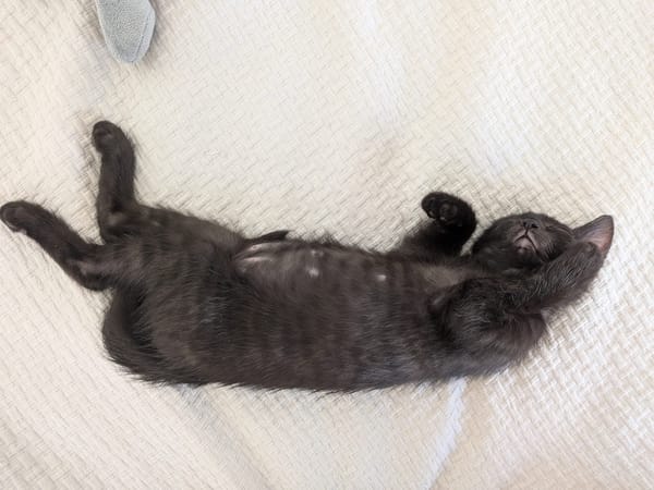 BERLIOZ