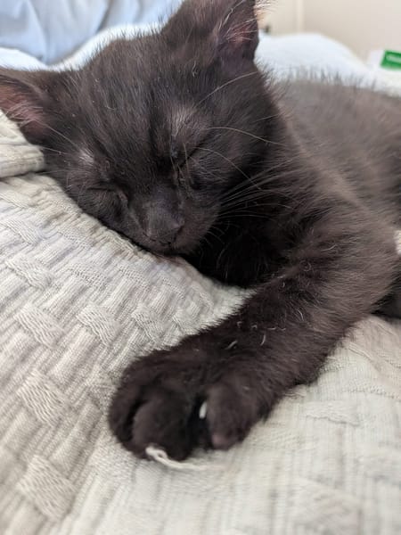 BERLIOZ
