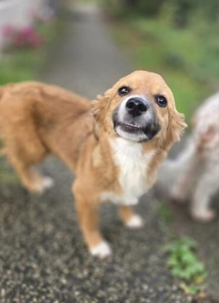 Luna sucht ihre Familie