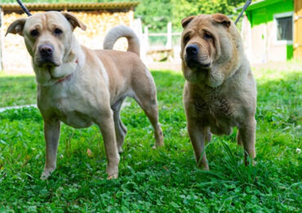 Rita und Theo