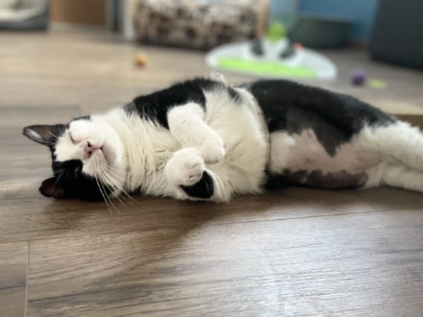 EROS