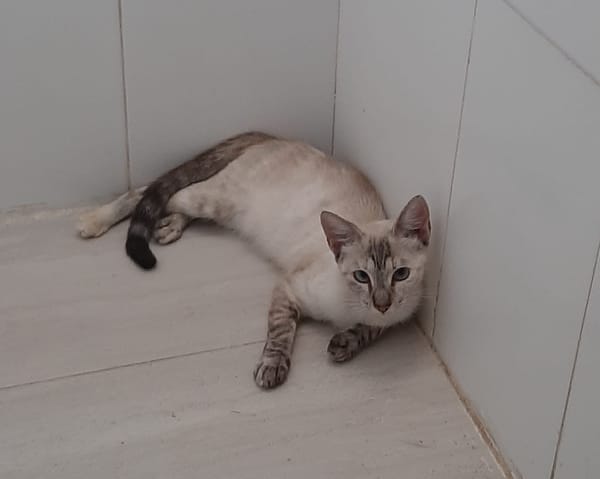 LUNA